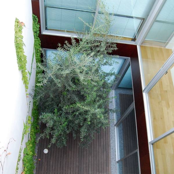 Vivienda unifamiliar sevilla (4)